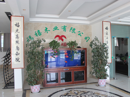 企業(yè)風采
